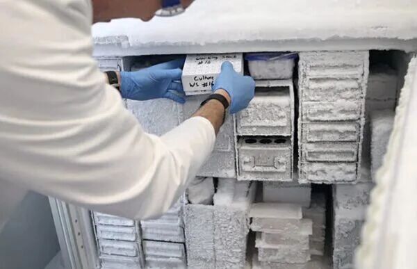 How This CRO Company Boosts Productivity with Snorkel Automated Freezers How This CRO Company Boosts Productivity with Snorkel Automated Freezers