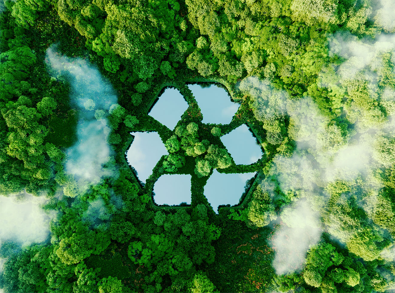 environmental_responsibility.jpg environmental_responsibility.jpg