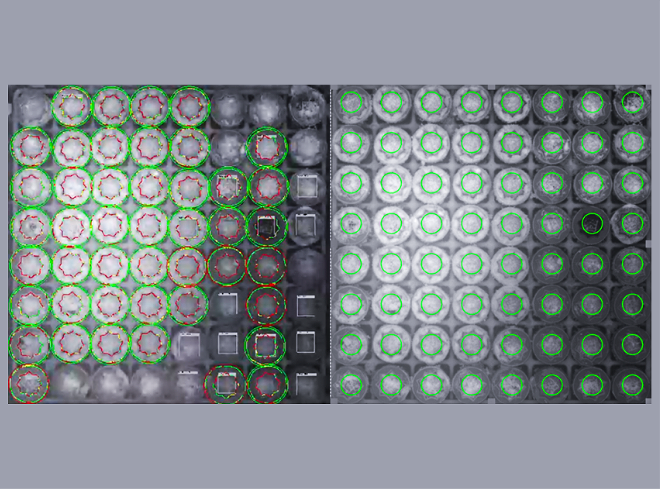 intelligent-algorithms.png