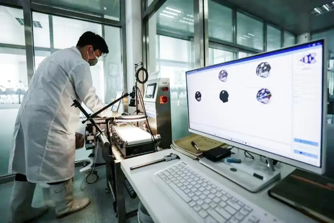 Researchers performing health assessments on scallops at the LOFSRI