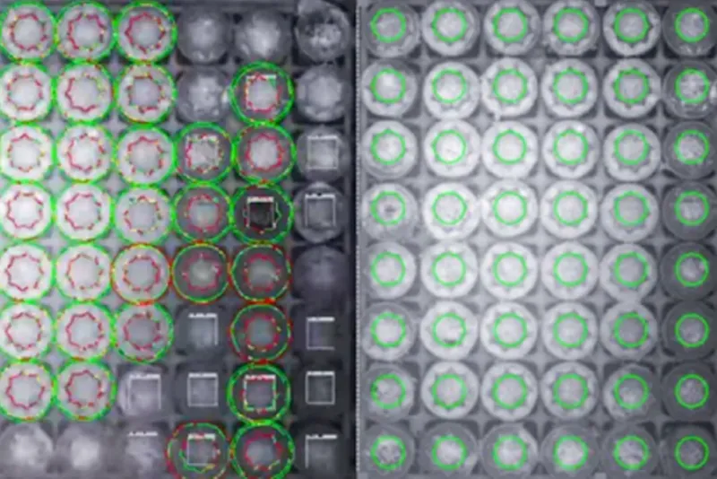 Millions of Biological Samples Are at Risk. Is Your Sample Storage Strategy Ready?